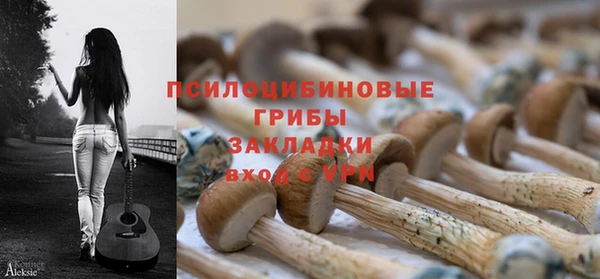 Альфа ПВП Карпинск
