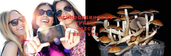 молекула духа Касимов