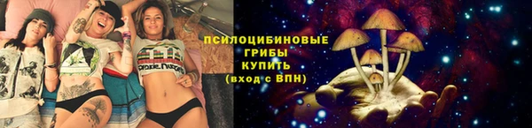 Альфа ПВП Карпинск