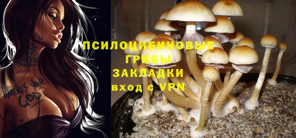 Альфа ПВП Карпинск
