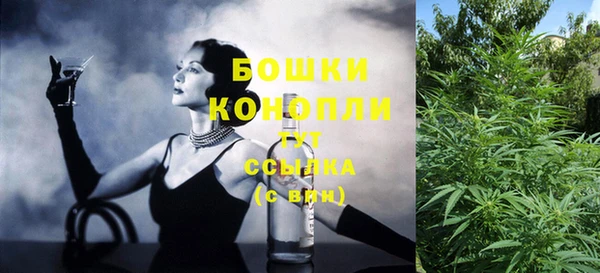 молекула духа Касимов