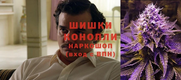 молекула духа Касимов